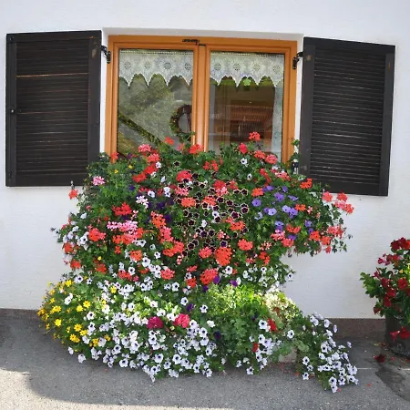 Rundblick-1 *